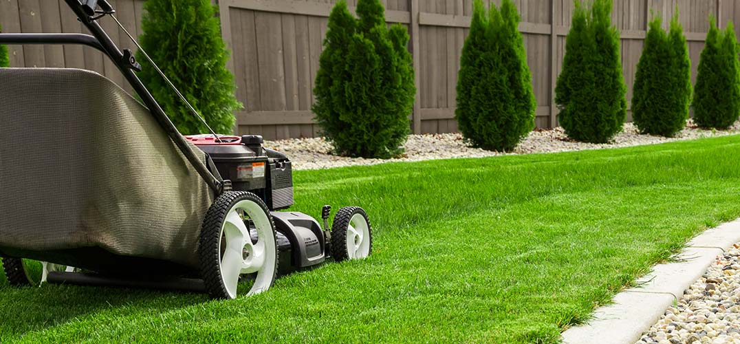 Commercial & Residential Lawn Care